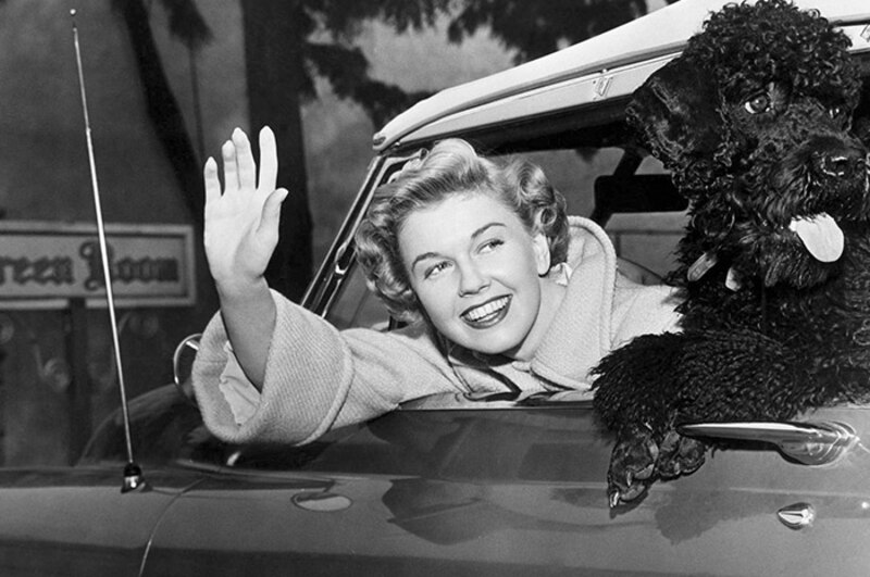 La actriz y cantante Doris Day saluda desde su coche
