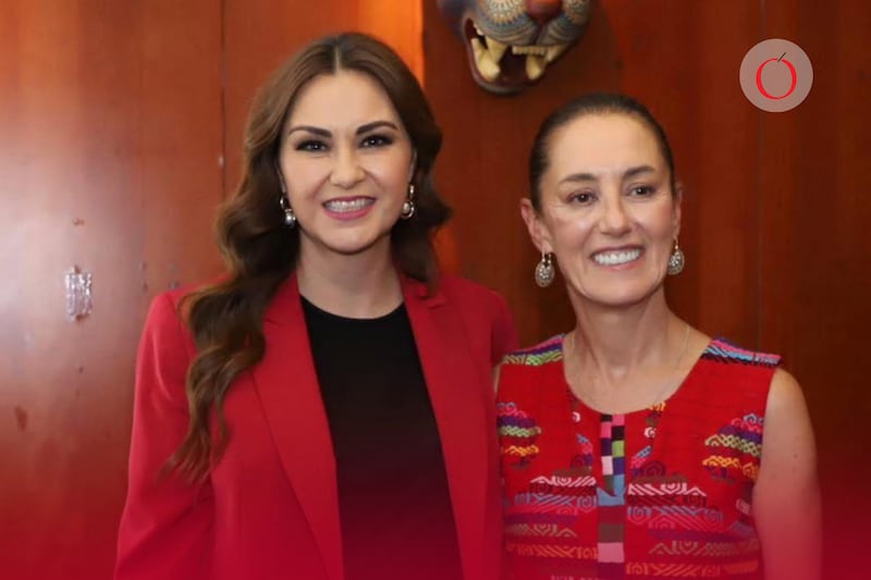 “Nosotros hemos asumido distintos costos políticos… lo hemos hecho con profunda responsabilidad y orgullo. Esta no será la excepción”, sostuvo la vicecoordinadora del PT en el Senado, Geovanna Bañuelos.