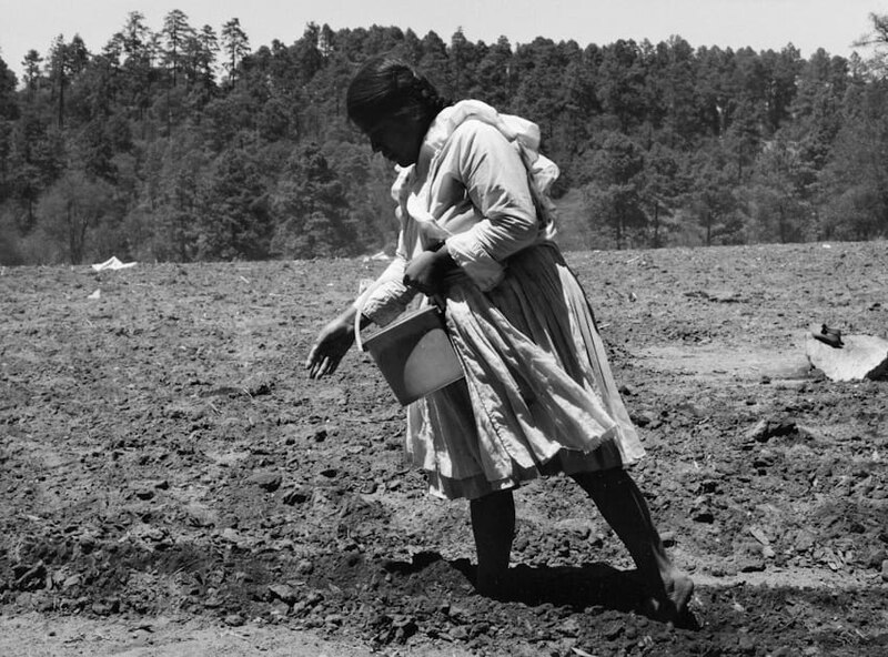 Mujer indígena sembrando en un campo