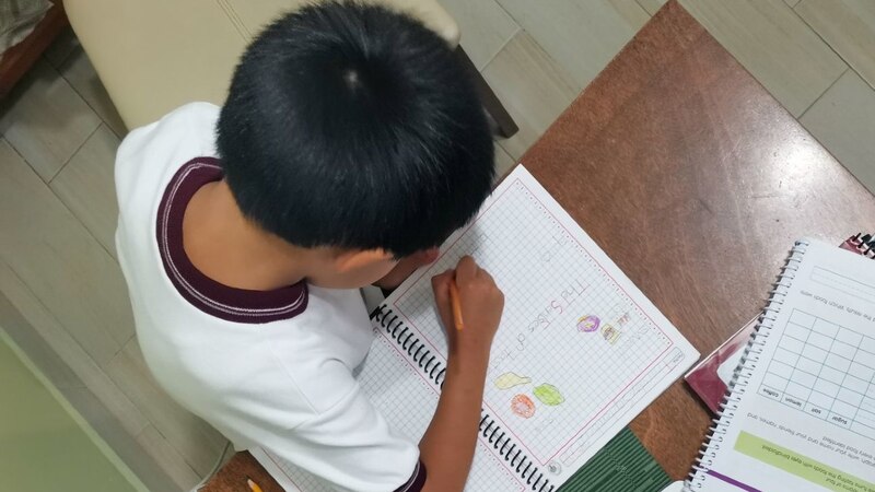 Niño haciendo una tarea de ciencias naturales