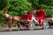 Tras muerte de turista suspenden paseos en carruajes tirados por caballos en Central Park