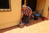 Ecatepec pide a la SCJN modificar proyecto de amparo por agua; cumplirlo costaría más de 6 mil mdp