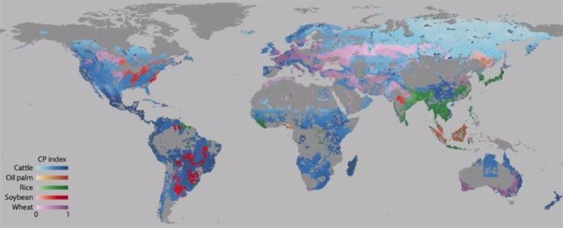 Mapa de las principales regiones productoras de cultivos en el mundo