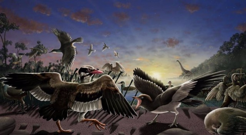 El origen de las aves