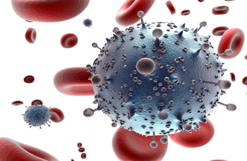 Virus atacando glóbulos rojos
