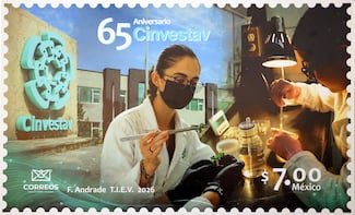 Expertos mexicanos exponen avances sobre investigación en envejecimiento