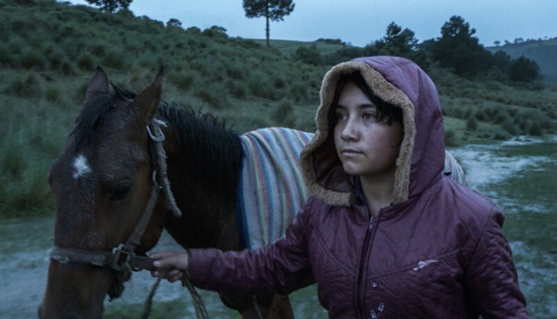 La niña y el caballo