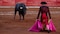 Adiós a la tauromaquia: Plaza de Toros ve inviable la celebración de corridas