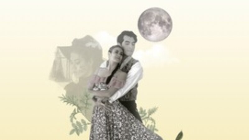 Pareja bailando flamenco bajo la luna