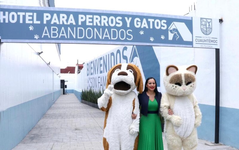 Hotel para perros y gatos abandonados