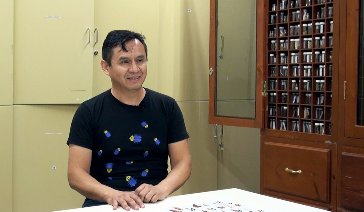 Conoce el herbario del Cibnor y cu&aacute;les son sus plantas y beneficios