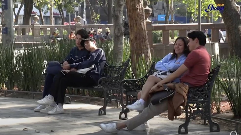 Parejas en el parque