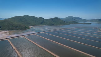 Publican nuevas reglas para siembra y cosecha de granjas en Sinaloa 