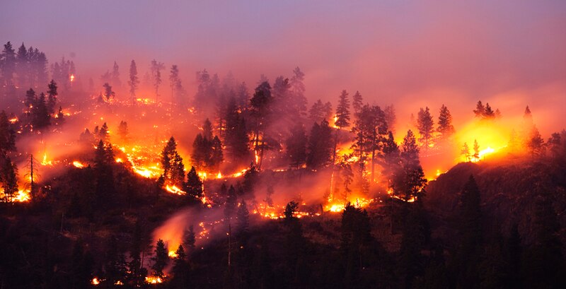 Incendios forestales en California