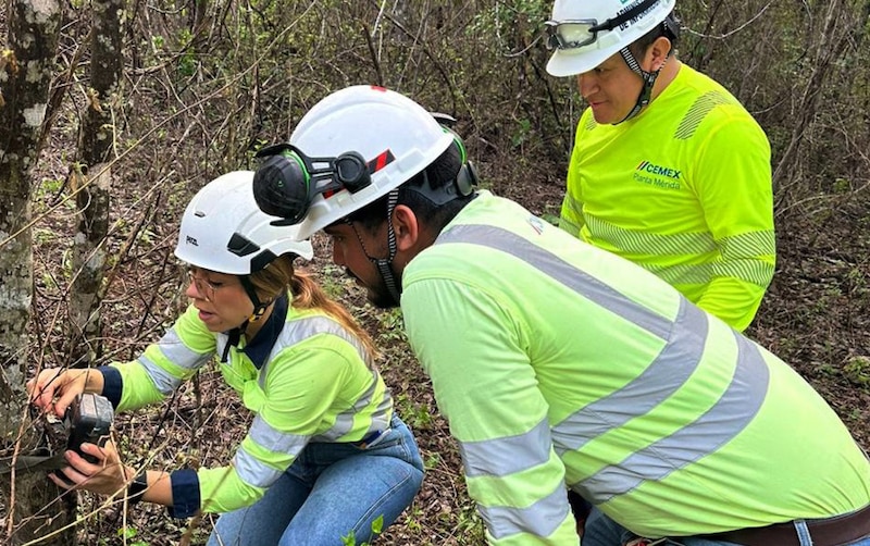 Investigadores en el bosque