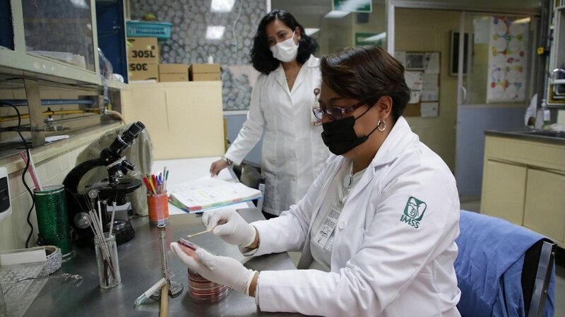 Científicos mexicanos desarrollan prueba rápida para detectar COVID-19