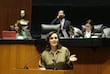 Lilly Téllez increpa a Gerardo Fernández Noroña durante sesión en el Senado: “idiota, imbécil y payaso”