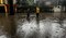 Panistas critican respuesta del GCDMX a lluvias y proponen captación pluvial