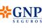 PYMES sector estratégico para GNP 