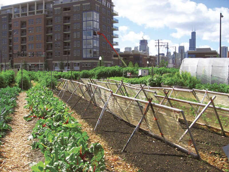 Jardín urbano en Chicago