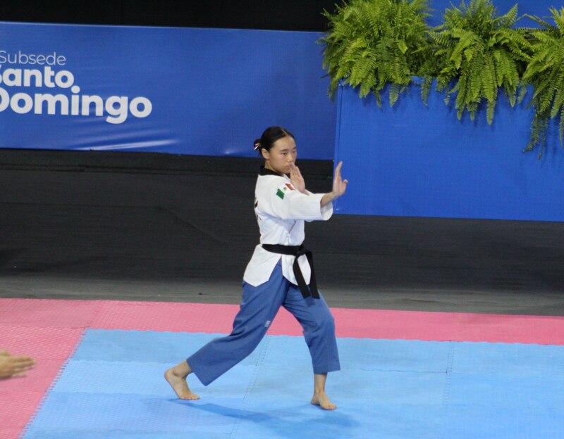 Mujer mexicana gana medalla de oro en taekwondo