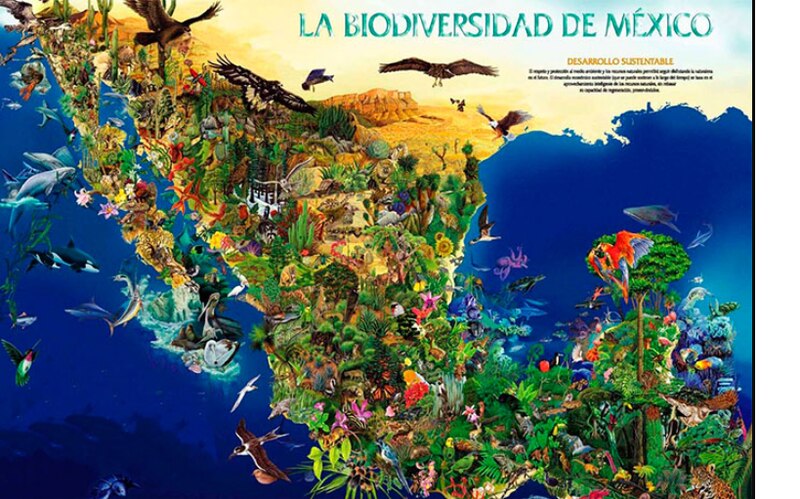 La Biodiversidad de México