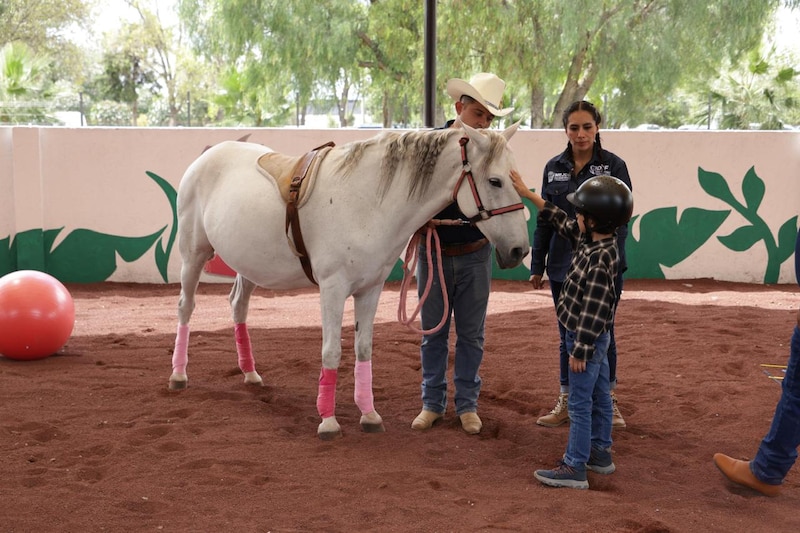 Niño acariciando a un caballo