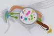 Microbios intestinales aliados de los insectos 