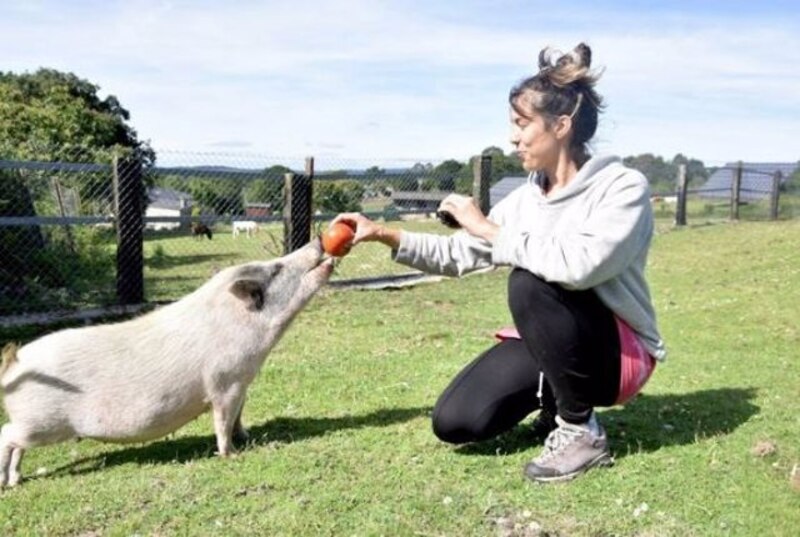 Mujer jugando con un cerdo