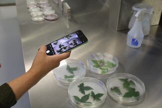 De los cuadernos de campo a las plataformas en línea