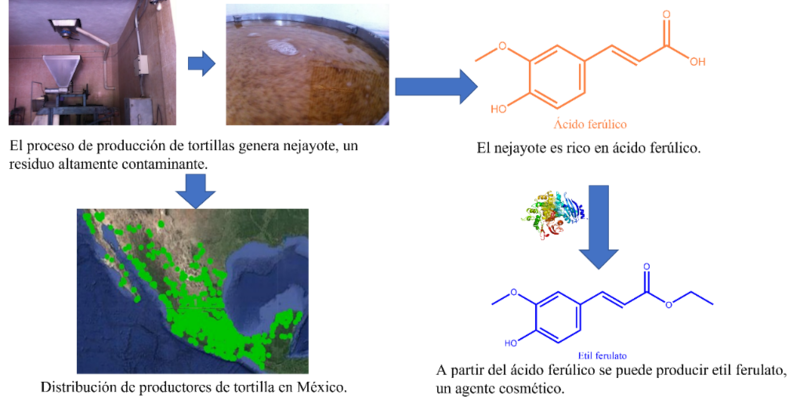 Producción de ácido tereftálico a partir de biomasa