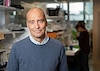 Estudio aporta nuevas pruebas de que el cerebro forma neuronas nuevas toda la vida  