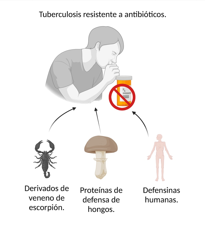 Tuberculosis resistente a antibióticos.