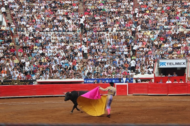 El torero enfrenta al toro en la plaza de toros