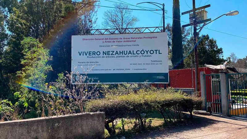 Vivero Nezahualcóyotl
