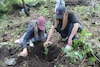 Alcaldía Magdalena Contreras inicia jornada de Reforestación 2025