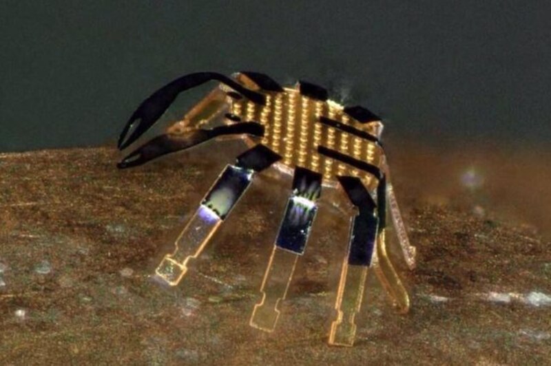 Micro-robot inspirado en la naturaleza