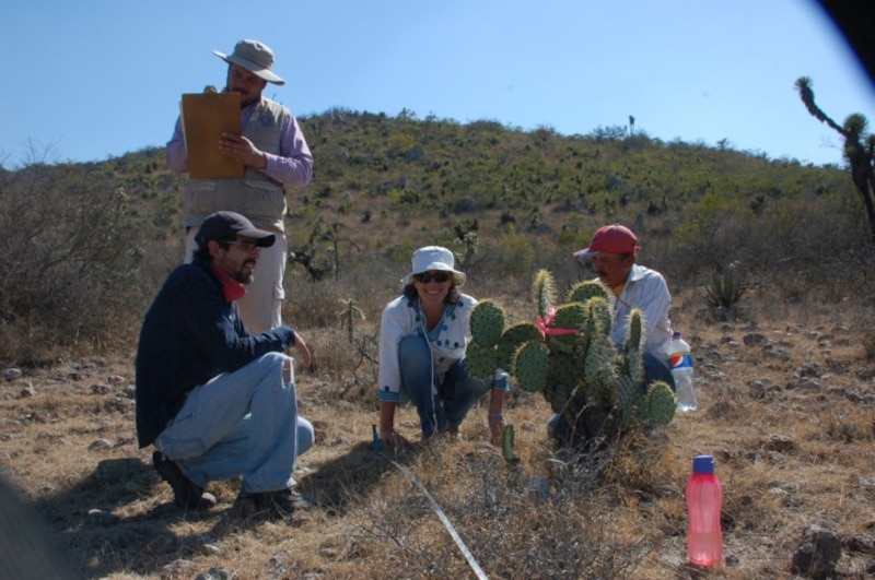 Investigadores estudian la vegetación en un árido paisaje desértico.