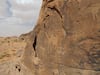 Arte rupestre con grandes camellos marcaba las fuentes de agua hace 12 mil  años en Arabia
