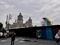 CDMX es la entidad con mayor perdida de empleo formal