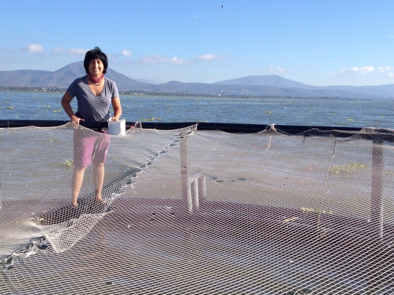 Mujer en una jaula de pesca en el lago de Chapala