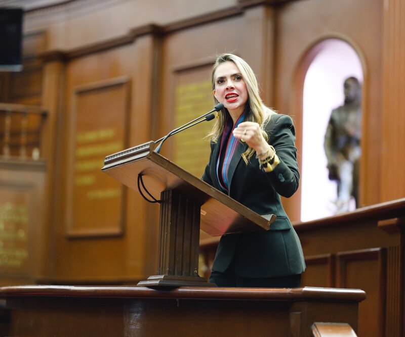 La presidenta de la Comunidad de Madrid, Isabel Díaz Ayuso, durante una sesión en la Asamblea de Madrid.