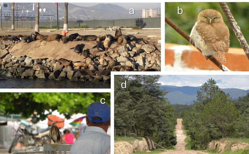 Animales en su hábitat