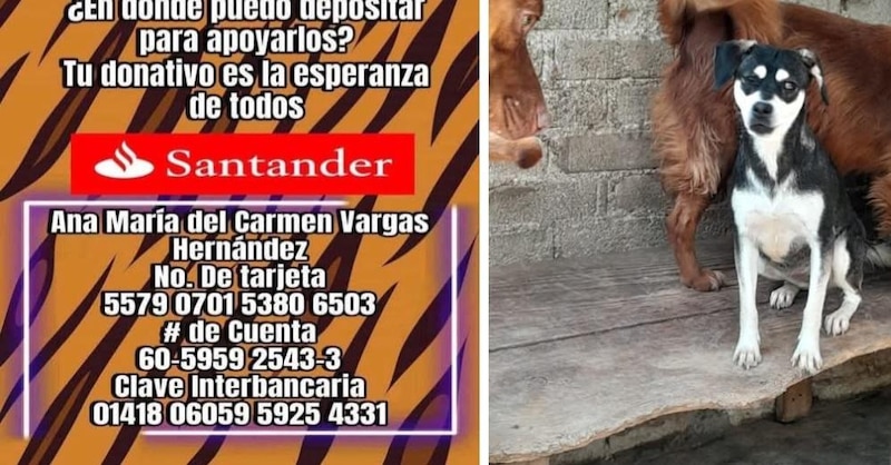 Columna de Marielena Hoyo Bastién