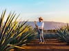 Julio sabe a tequila: el mejor pretexto para recorrer Jalisco entre agaves, trenes y tradiciones