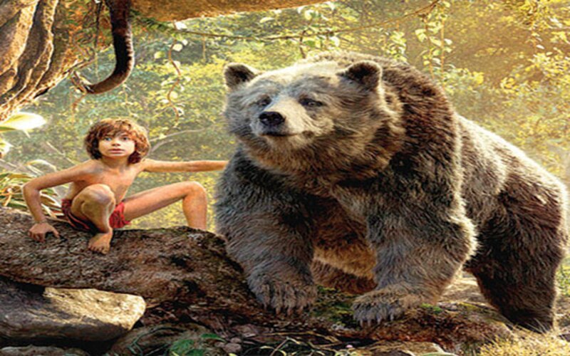 El niño y el oso