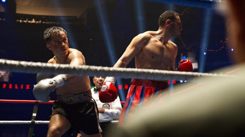 Pelea de Boxeo