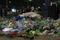 Inundada de basura: así amaneció de nuevo Paseo de la Reforma tras festejos por la Selección Mexicana en CDMX este 25 de junio