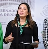 PVEM no dará “cheque en blanco” para reforma electoral de Sheinbaum; “pluris muy importantes”, dice