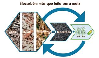 Biocarbón: más que leña para maíz